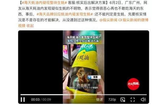 爆料海天视频最新,揭秘行业内幕，引发公众关注